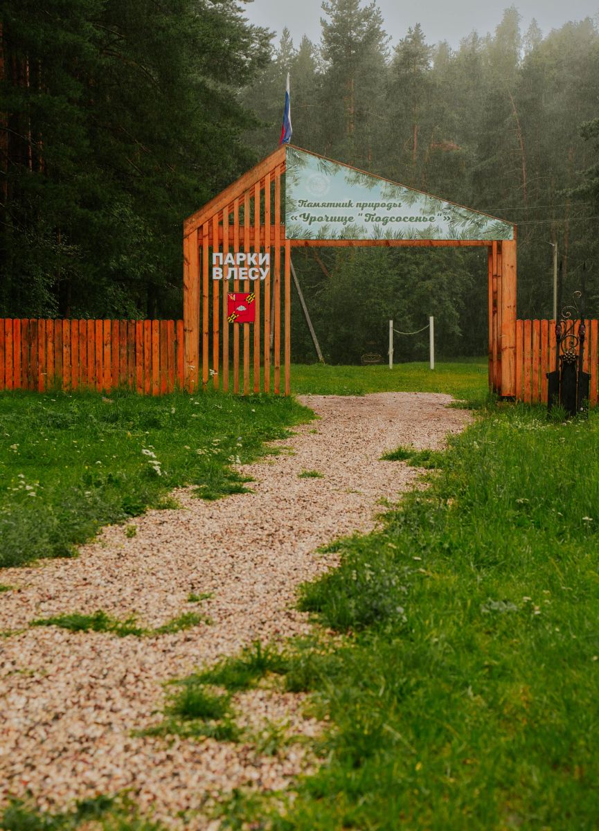 Парки в лесу: 